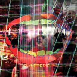 Release Cover Animal Collective - Centipede Hz