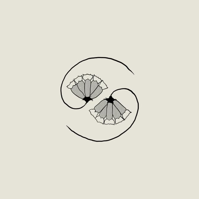 Release Cover Godspeed You! Black Emperor - G_d's Pee AT STATE'S END!