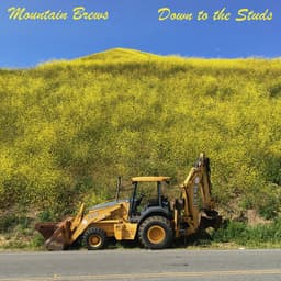 Release Cover Mountain Brews - Down to the Studs