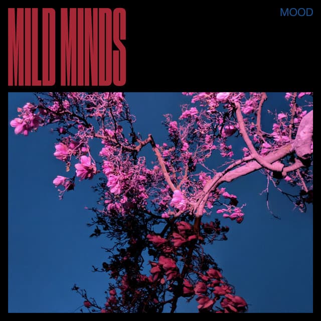Release Cover Mild Minds - MOOD
