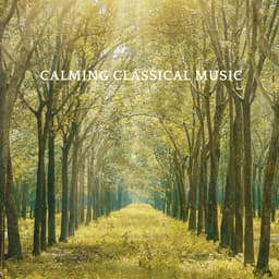 Release Cover Johann Sebastian Bach, Ludwig van Beethoven, Wolfgang Amadeus Mozart, Pyotr Ilyich Tchaikovsky, Frédéric Chopin, Franz Liszt, Claude Debussy, George Frideric Handel, Franz Schubert, Johannes Brahms, Antonio Vivaldi, Erik Satie - Calming Classical Music