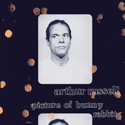 Release Cover Arthur Russell - Picture of Bunny Rabbit