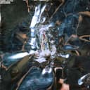 Cover of Dogsbody by Model/Actriz