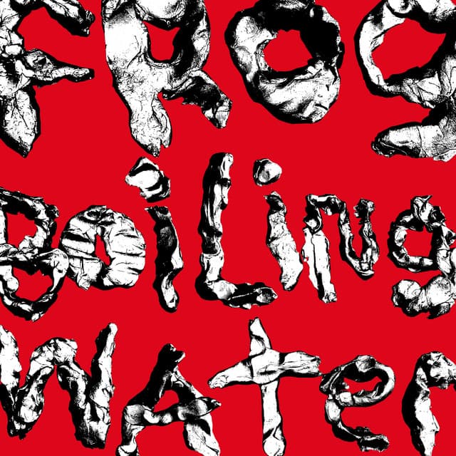 Release Cover DIIV - Frog In Boiling Water