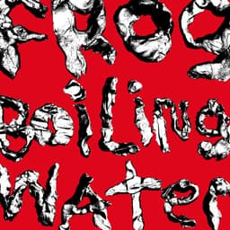 Release Cover DIIV - Frog In Boiling Water