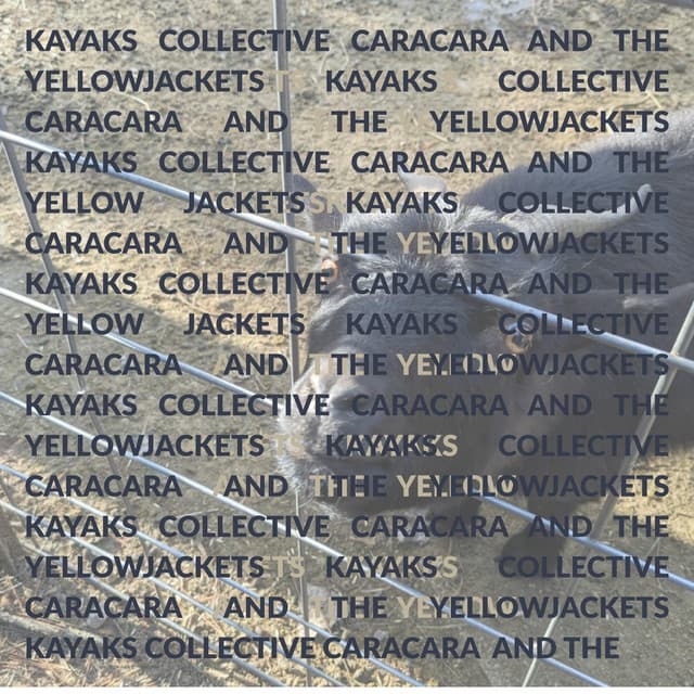 Release Cover Kayaks Collective - CARACARA AND THE YELLOWJACKETS