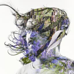 Release Cover Bibio - Ribbons