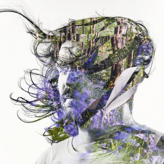 Release Cover Bibio - Ribbons