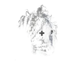 Release Cover 2hollis - gold