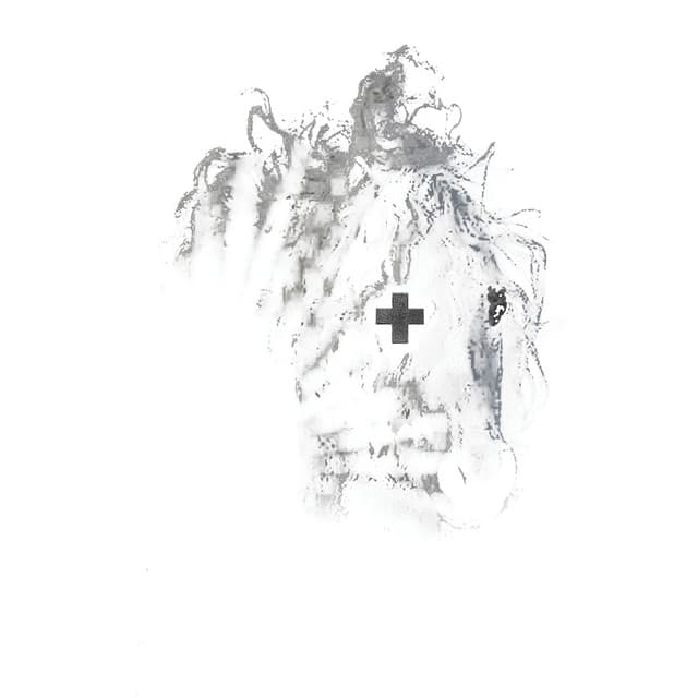 Release Cover 2hollis - gold