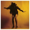 Release Cover The Last Shadow Puppets - Everything You've Come To Expect (Deluxe Edition)