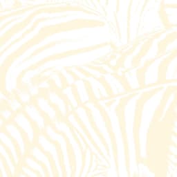 Release Cover Beach House - Teen Dream