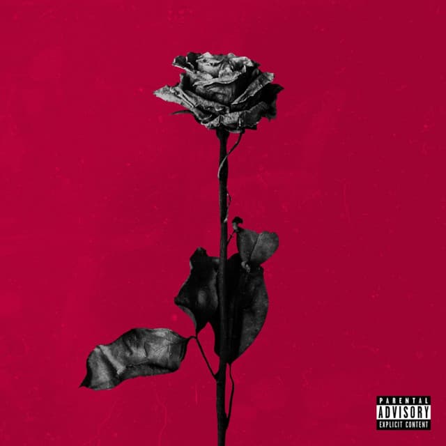 Release Cover blackbear - deadroses
