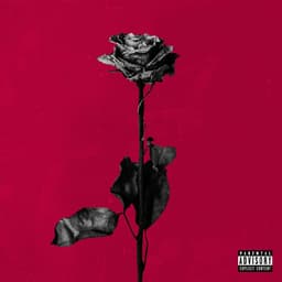 Release Cover blackbear - deadroses