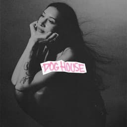 Release Cover Drake, Julia Wolf, Yeat - DOG HOUSE