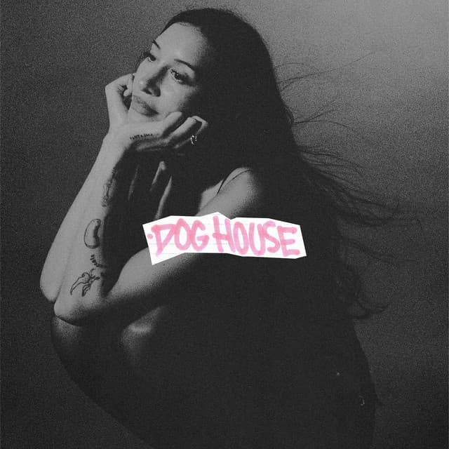 Release Cover Drake, Julia Wolf, Yeat - DOG HOUSE