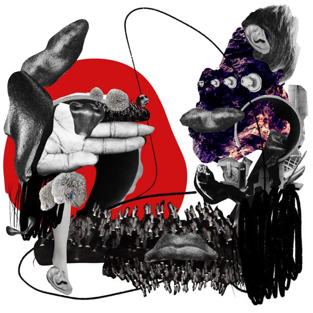 Release Cover Patrick Shiroishi, Eldar Tagi - Flock