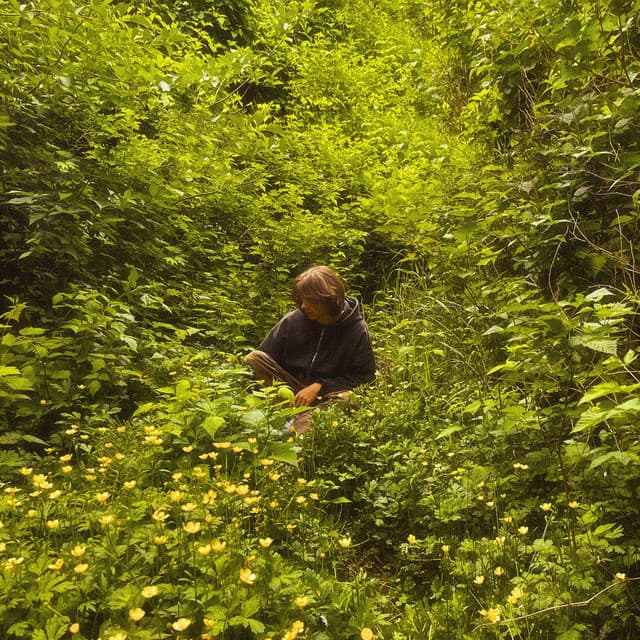 Release Cover kmoe - nerve