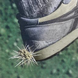 Release Cover Ross from Friends - Tread