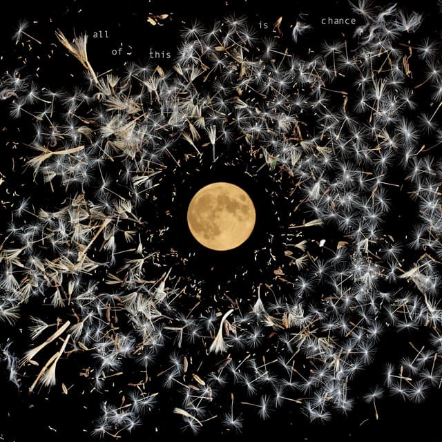 Release Cover Lisa O'Neill - Old Note