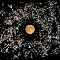 Release Cover Lisa O'Neill - Old Note