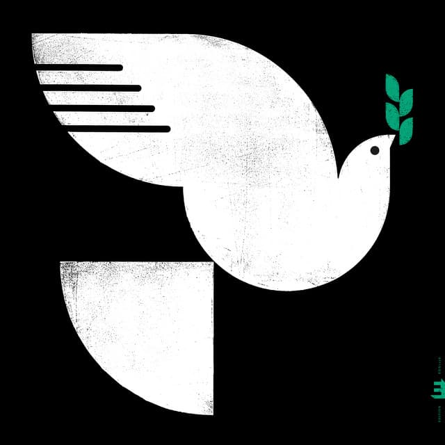 Release Cover John Patitucci - Spirit Fall