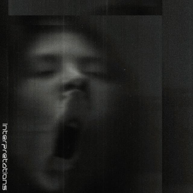 Release Cover Lowswimmer - Interpretations