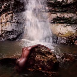 Release Cover Moses Sumney - græ