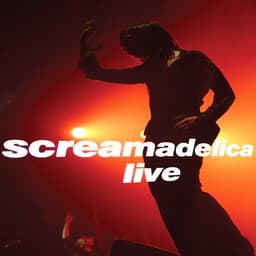Release Cover Primal Scream - Screamadelica - Live