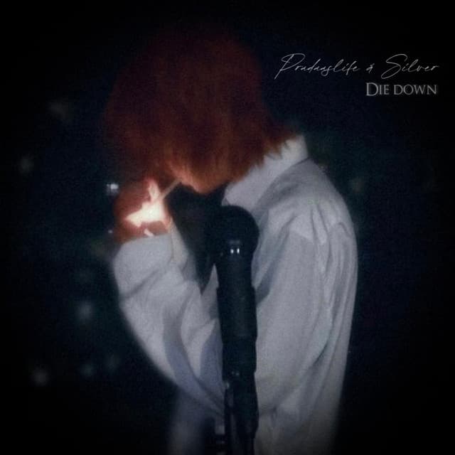 Release Cover pradaaslife, Silver - Die Down