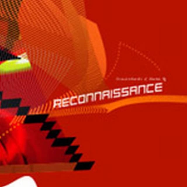Release Cover Oren Ambarchi, Martin Ng - Reconnaissance