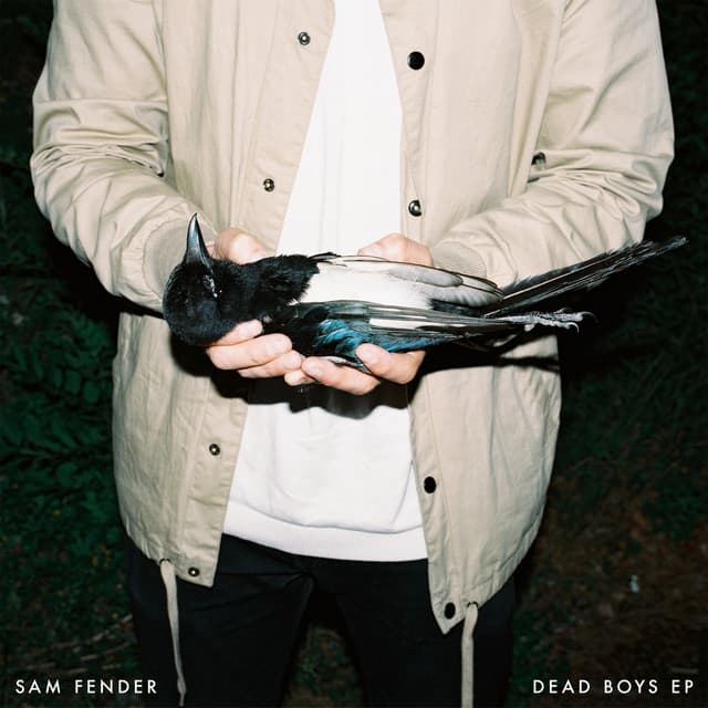 Release Cover Sam Fender - Dead Boys - EP