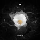 Release Cover Avicii - AVĪCI (01)