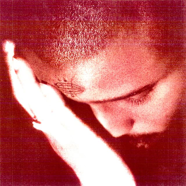 Release Cover Nourished by Time - The Passionate Ones