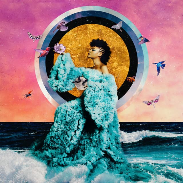 Release Cover Allison Russell - The Returner