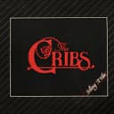 Cover of Selling A Vibe by The Cribs