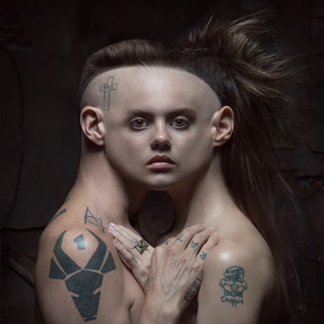 Release Cover Die Antwoord - HOUSE OF ZEF