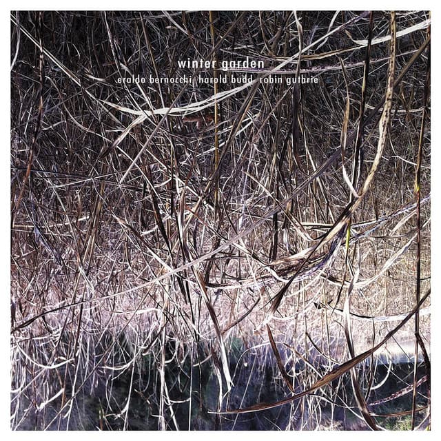 Release Cover Eraldo Bernocchi, Harold Budd, Robin Guthrie - Winter Garden