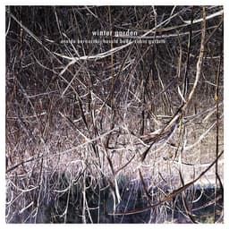 Release Cover Eraldo Bernocchi, Harold Budd, Robin Guthrie - Winter Garden