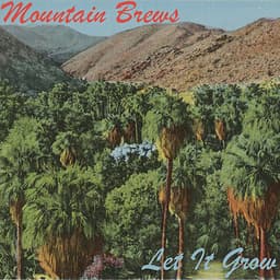 Release Cover Mountain Brews - Let It Grow EP