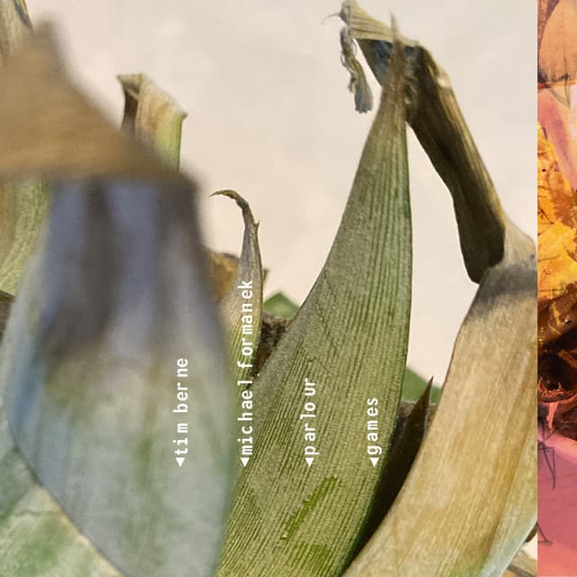 Release Cover Tim Berne, Michael Formanek - Parlour Games