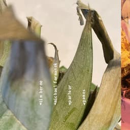 Release Cover Tim Berne, Michael Formanek - Parlour Games