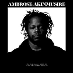 Release Cover Ambrose Akinmusire - on the tender spot of every calloused moment