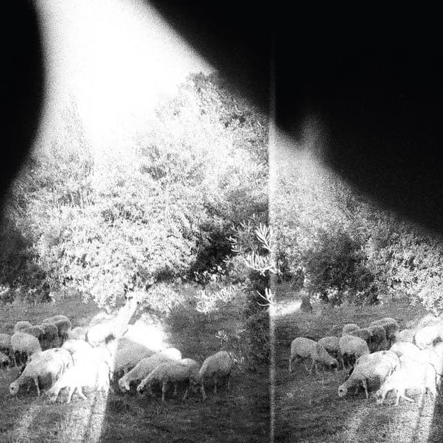 Release Cover Godspeed You! Black Emperor - Asunder, Sweet and Other Distress