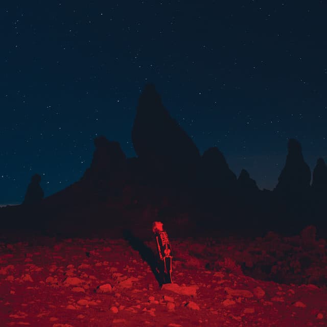 Release Cover Phoebe Bridgers - Punisher