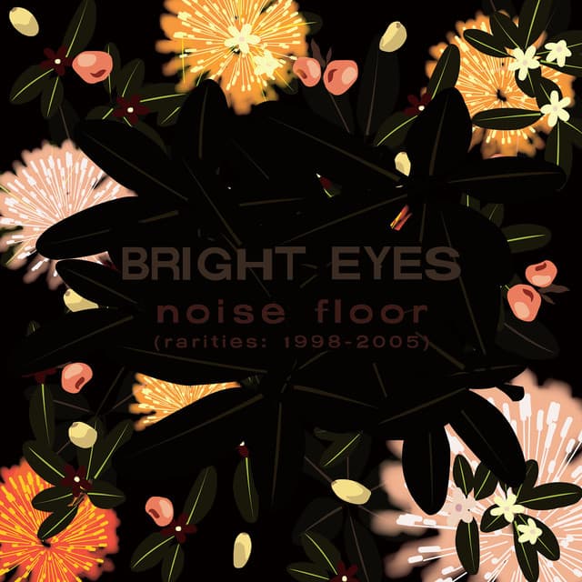 Release Cover Bright Eyes - Noise Floor (Rarities: 1998-2005)
