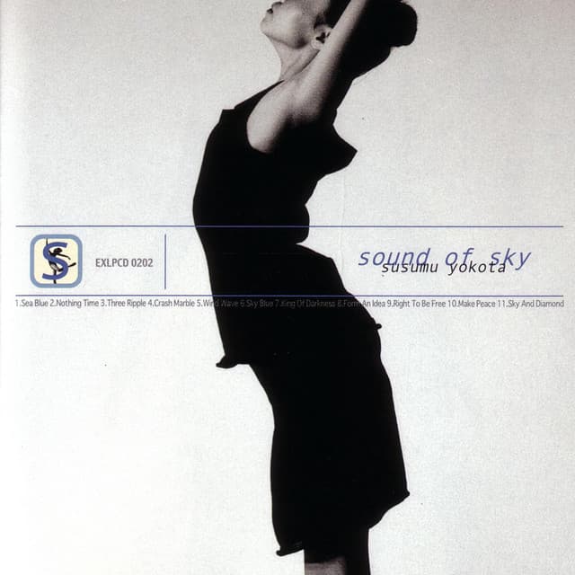 Release Cover Susumu Yokota - Sound Of Sky