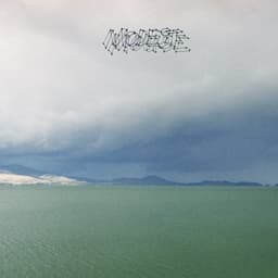 Release Cover Modest Mouse - The Fruit That Ate Itself