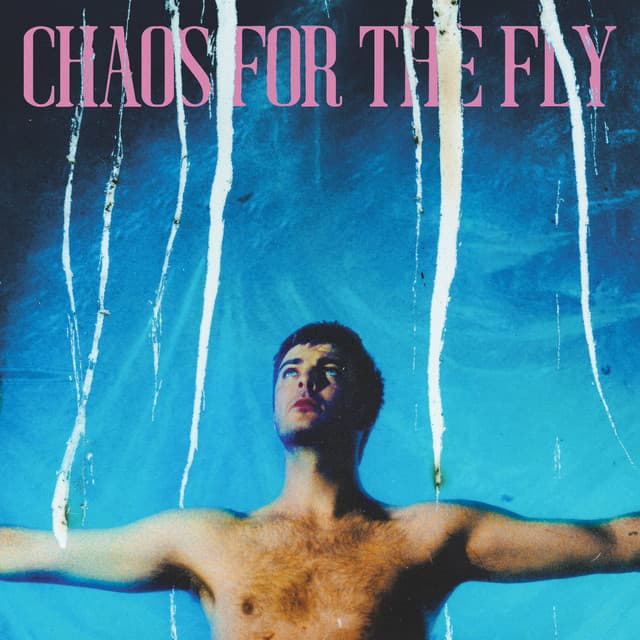 Release Cover Grian Chatten - Chaos For The Fly