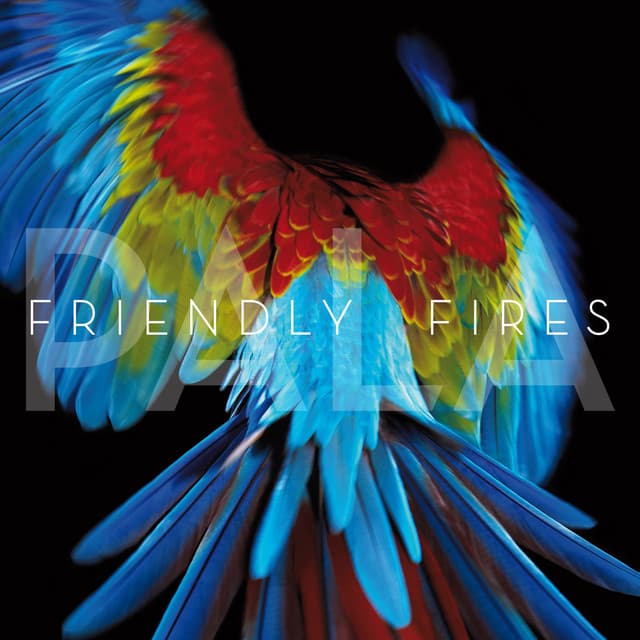 Release Cover Friendly Fires - Pala